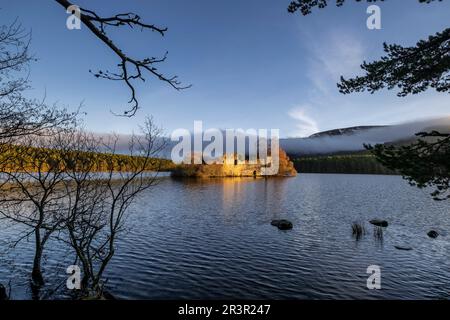 Castillo del siglo XIII, Loch ein Eilein, Parque Nacional de Cairngorms, Highlands, Escocia, Reino Unido. Stockfoto