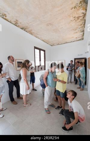 Größere Visita a la exposicion de Toni Catany, Casal Solleric, Palma, Mallorca, balearen, Spanien. Stockfoto