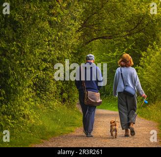 Ein erwachsenes Paar geht mit einem Hund im Park spazieren. Ältere Ehepaare, die sich mit dem Hund in der Natur ausruhen. Foto von einem Mann und einer Frau auf einem Spaziergang mit ihrem Hund. S Stockfoto
