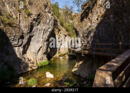 Cerrada de Elias, Ruta Del Rio Borosa, Parque natural Sierra de Cazorla, Segura y Las Villas, Jaen, Andalusien, Spanien. Stockfoto