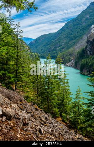 Farbenfroher und malerischer Gorge Creek Falls Trail entlang des Skagit River WA Stockfoto