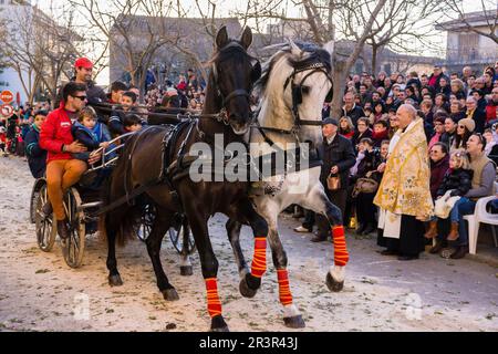 Beneïdes de Sant Antoni, Muro, Mallorca, Balearen, Spanien. Stockfoto
