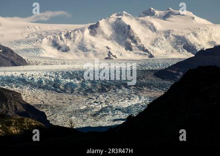 glaciar Grey, valle del lago Grey, Trekking W, Parque nacional Torres del Paine, Sistema Nacional de Áreas Silvestres Protegidas del Estado de Chile. Patagonia, República de Chile, América del Sur. Stockfoto