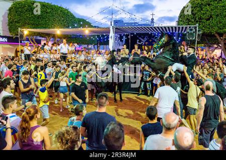 Jaleo, Danza tradicional con Caballos, originaria Del Siglo XIV, Fiestas de Sant Lluís Menorca, Balearen, Spanien. Stockfoto