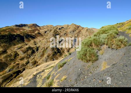 Unhòla-Tal, Aran-Tal, Lleida, Pyrenäen, Katalonien, Spanien, europa. Stockfoto