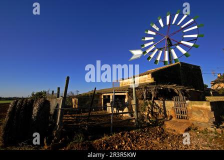 Molino de Agua para Extraccion (s. XIX-XX). Cami de Sa pedra rodona.Campos.Comarca de Migjorn. Mallorca. Balearen. España. Stockfoto