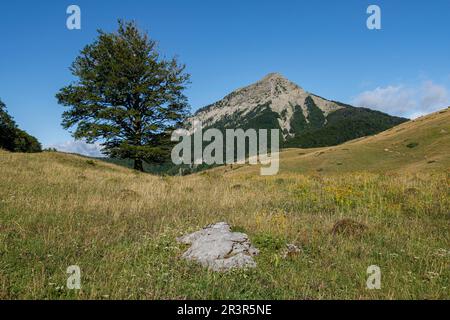 Ruta de Las Golondrinas, Barranco de Petrechema, pirineos, occidentales, Huesca, Aragón, Spanien, Europa. Stockfoto