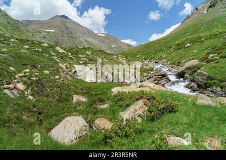 Senda al Puerto de La Pez, Valle de Gistau, Parque Natural Posets-Maladeta, Huesca, Cordillera de Los Pirineos, Spanien. Stockfoto