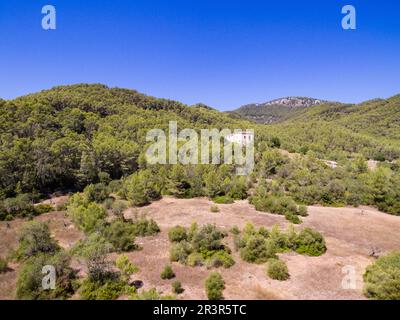 Pinar de Canet, Esporles, Sierra de Tramuntana, Mallorca, Balearen, Spanien, Europa. Stockfoto