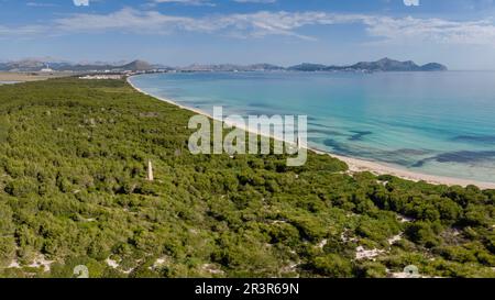 Es Comú, Àrea Natural d'Especial Interès, im Naturpark von s'Albufera, Muro, bahía de Alcúdia, Mallorca, Balearen, Spanien. Stockfoto