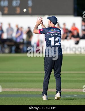 Northampton 24. Mai: Tom Taylor von Northamptonshire legt den Ball Vitality T20 Blast Match zwischen Northamptonshire Steelbacks und Worcestershire Rapids auf dem County Ground Northampton England. Stockfoto