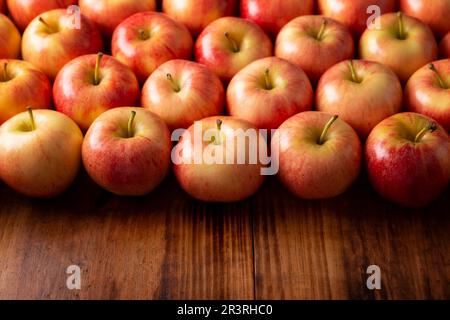 Königliche Gala-Äpfel (Malus domestica). Apfelbäume werden weltweit angebaut und sind die am weitesten verbreitete Art der Gattung Malus. Füllen des Rahmens c Stockfoto