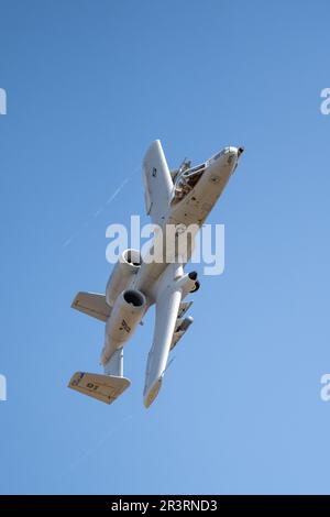 Idaho Air National Guardsmen besuchen zusammen mit ihrer Familie und Freunden die Saylor Creek Range für HAWG-Tage, die vom 124. Fighter Wing, Idaho Air National Guard, am 24. Mai 2023 ausgerichtet werden. HAWG Days ist eine Veranstaltung für Mitglieder des Dienstes, ihre Familien und Freunde, um den A-10 Thunderbolt II in Aktion zu sehen und zu sehen, wie sich ihre Bemühungen direkt auf die Mission auswirken. (USA Air National Guard Foto von Staff Sgt. Mercedee Wilds) Stockfoto