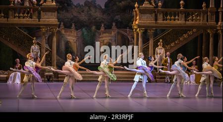 Dornröschen (Berliner Ballett) Stockfoto