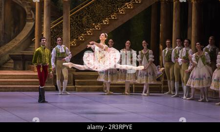 Dornröschen (Berliner Ballett) Stockfoto