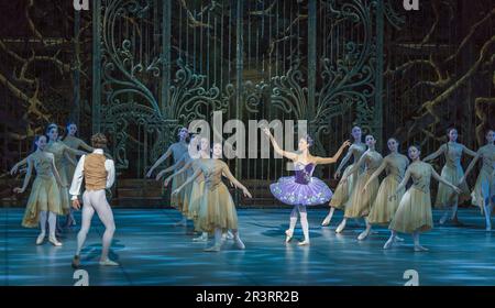 Dornröschen (Berliner Ballett) Stockfoto