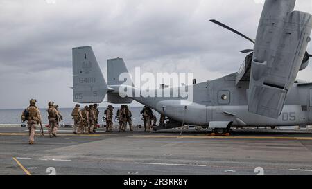 USA Marines mit der 26. Marine Expeditionary Unit (MEU) Maritime Special Purpose Force gehen an Bord eines MV-22 Osprey vor der Durchführung einer Razzia im Rahmen der Composite Training Unit Exercise (C2X), Atlantik, 23. Mai 2023. Die Razzia war Teil eines Schulungsszenarios, in dem die Fähigkeit des MEU getestet wurde, mithilfe des Prozesses der Krisenreaktionsplanung Pläne zur Durchführung komplexer Missionen in einem umstrittenen Umfeld zu entwickeln. C2X ist die letzte Übung im Pre-Deployment-Trainingsprogramm für die Bataan Amphibious Ready Group. (USA Marinekorps (Foto: CPL. Matthew Romonoyske-Bean) Stockfoto