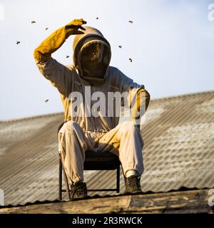 Bienenwärter auf dem Dach, angegriffen von einem Bienenschwarm Stockfoto