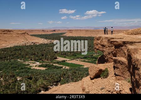 Palmeral de Tafilalet, Valle del río Ziz, Marruecos, Afrika. Stockfoto