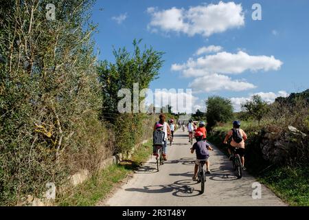 Marcha Ciclista a las Piquetes des. Pèlec, Llucmajor, Mallorca, Balearen, Spanien. Stockfoto