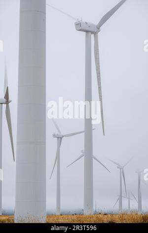 Windpark, Sierra de Pela, Spanien. Stockfoto