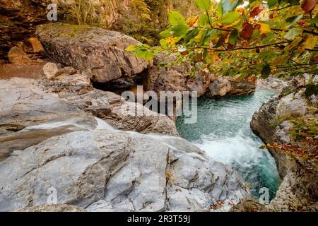 La Ripareta, Cañon de Añisclo, Parque Nacional de Ordesa y Monte Perdido, Comarca del Sobrarbe, Huesca, Aragón, Cordillera de Los Pirineos, Spanien. Stockfoto