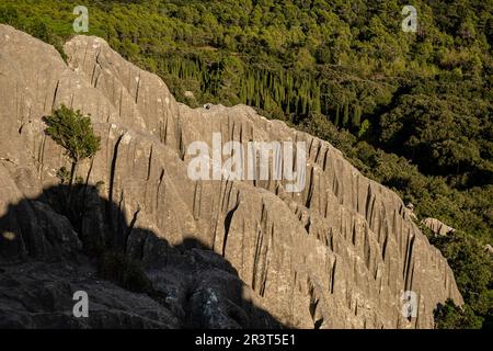 Puig de ses Monges, Lapiaz, Lluc, Mallorca, Balearen, Spanien. Stockfoto