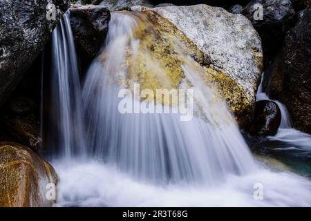 Toktok. Sagarmatha Nationalpark, Khumbu Himal, Nepal, Asien. Stockfoto