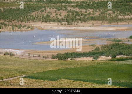 In der Nähe des Sidi Chahed Reservoirs, Fez, marokko, afrika. Stockfoto