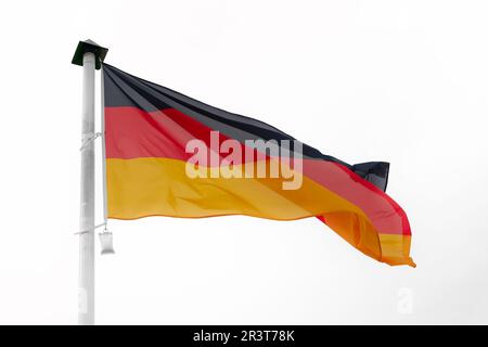 Deutsche Flagge, die im Wind auf einer Fahnenstange mit weißem Hintergrund winkt Stockfoto