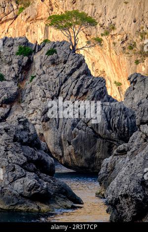 Sa Calobra, Escorca, Paraje natural de la Serra de Tramuntana, Mallorca, Balearen, Spanien. Stockfoto