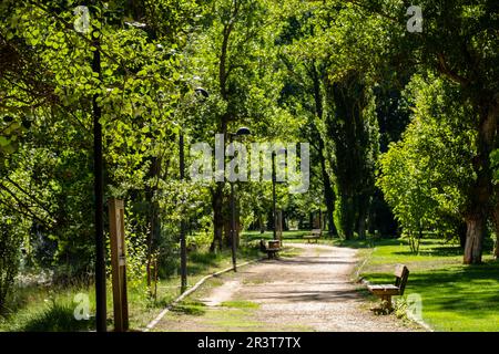 Parque de la Arboleda, Guijuelo, Soria, Comunidad Autónoma de Castilla y León, Spanien, Europa. Stockfoto