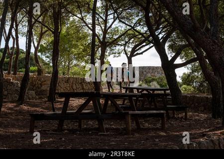 Erholungsgebiet Na Miranda, Naturpark Sa-Baia, Mallorca, Balearen, Spanien. Stockfoto