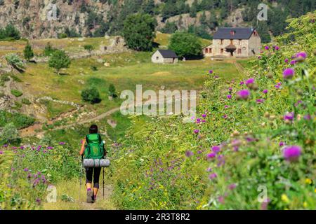 Granjas de Añes biadós, Valle de Cruces, Parque Natural Posets-Maladeta, Huesca, Cordillera de Los Pirineos, Spanien. Stockfoto