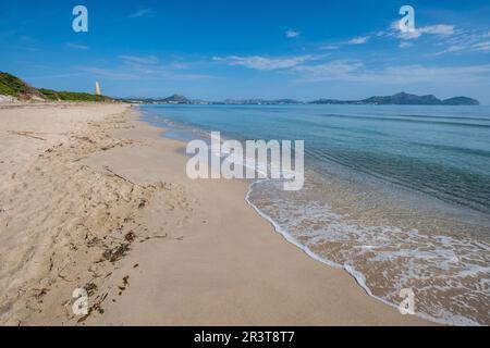 Es Comú, Àrea Natural d'Especial Interès, im Naturpark von s'Albufera, Muro, bahía de Alcúdia, Mallorca, Balearen, Spanien. Stockfoto