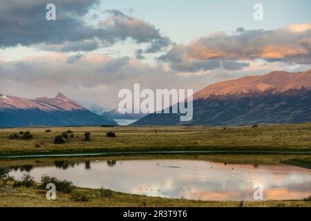 Pampa Cerca del Lago Roca, El Calafate, Parque Nacional Los Glaciares Republica Argentinien, Patagonien, Cono Sur, Südamerika. Stockfoto