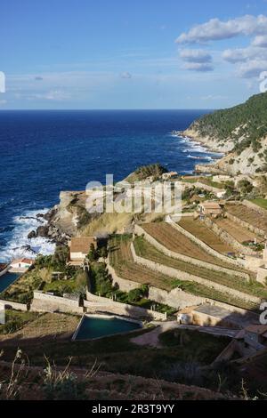 Huertos y bancales, Banyalbufar. Parque Natural de la Sierra de Tramuntana, Mallorca, Balearen, Spanien. Stockfoto