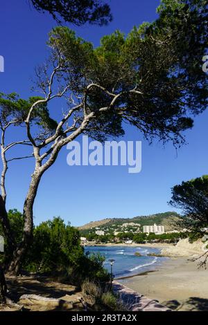 Paguera, Playa La Romana, Calvia, Mallorca, Balearen, Spanien. Stockfoto