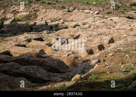 Nekropole von Can Fanals, römische Stadt Pollentia, Alcudia, Mallorca, Balearen, Spanien. Stockfoto