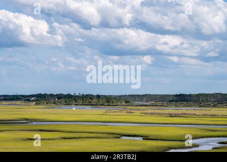 Salzmarschland entlang des Intracoastal Waterway in Ponte Vedra Beach, Florida. (USA) Stockfoto