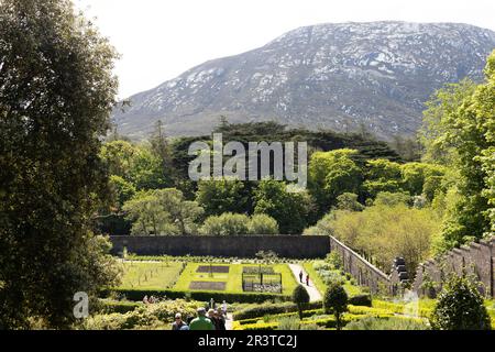 Menschen, die durch den ummauerten Garten der Kylemore Abbey mit einem Berg im Hintergrund in Galway, Irland, spazieren. Stockfoto