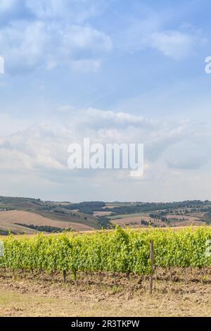 Valle Orcia, Italien. Toskanischer Weideyard in der Frühlingssaison Stockfoto