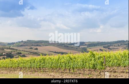 Valle Orcia, Italien. Toskanischer Weideyard in der Frühlingssaison Stockfoto