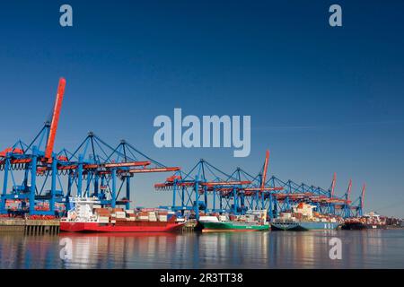 Containerschiffe und Zuführungen am HHLA Container Terminal Altenwerder, CTA, Hamburg, Deutschland Stockfoto