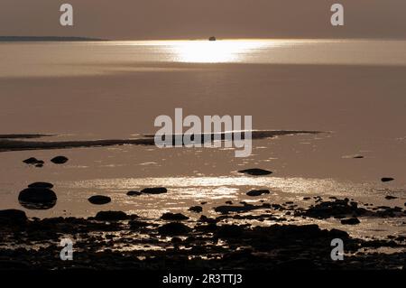 Sonnenuntergang, Joiste, Insel Saaremaa, Estland, Baltikum Stockfoto