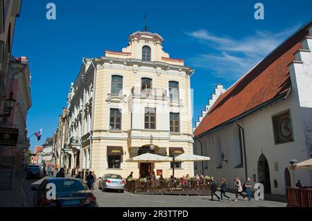 Cafe Maiasmokk, Pikk, Altstadt, Tallinn, Estland, Baltische Staaten Stockfoto