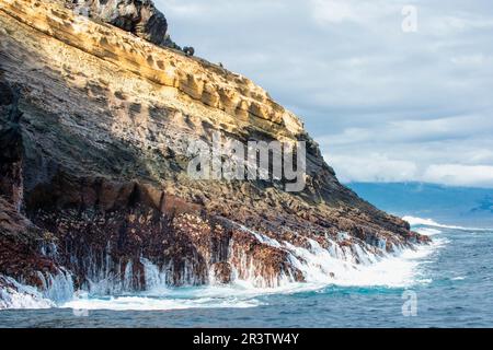 Wellenbrecher an der Küste von Punta Vicente Roca, Isabela Island, Galapagos, Ecuador Stockfoto