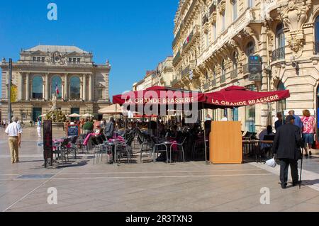 Opera Comedie, Opera House, Place de la Comedie, Montpellier, Herault, Languedoc-Roussillon, Opera national de Montpellier, Frankreich Stockfoto