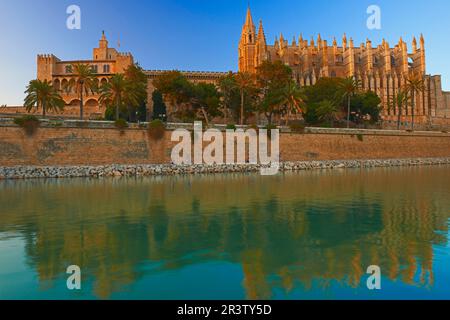 Palma de Mallorca, Kathedrale, Almudaina Palast, La Seu Kathedrale, Palma, Mallorca, Balearen, Spanien Stockfoto