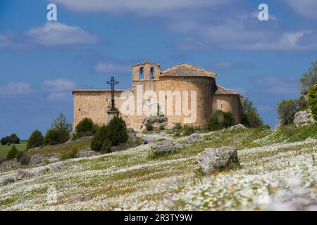 San Frutos del Duraton Hermitage, Hoces del Duraton, Duraton River Gorges, Hoces del Rio Duraton Natural Park, Sepulveda, Segovia Province Stockfoto